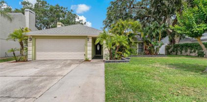1231 Lornewood Drive, Valrico