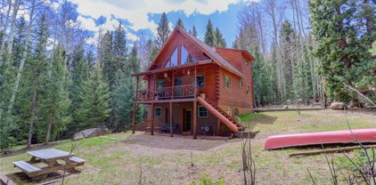 10378 Christopher Drive, Conifer