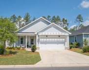 21 Windrow Way, Inlet Beach image