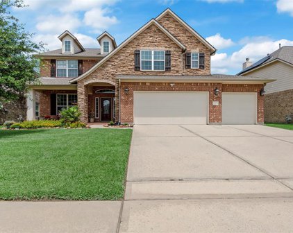 22742 Newcourt Place Street, Tomball