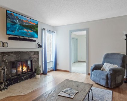 3471 Ryan Gulch  Road Unit 3471, Silverthorne