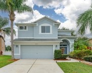 10853 Hoffner Edge Drive, Riverview image