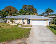 4710 Shale Place, Tampa image
