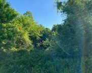 Spring Bayou  Road, Marksville image