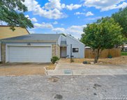 11902 Flame Tree Cove, San Antonio image