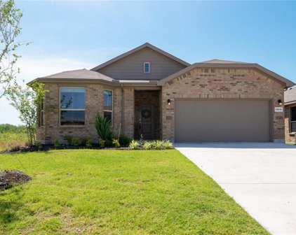 15916 Leinster  Pass, Fort Worth
