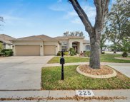 223 Bon Vie Place, Valrico image