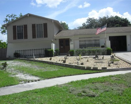 3103 Forest Knoll Circle, Tampa