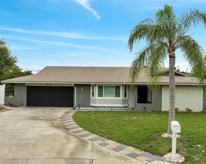 7004 Cardinalwood Street, Orlando