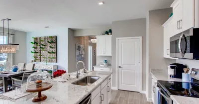 Canopy Cove Kitchen