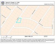 Guava Lane, Ocklawaha image