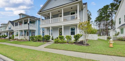 88 Crossandra Avenue Avenue, Summerville