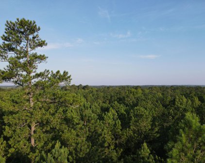 1325 REYNOLDS FARM Road, Grovetown