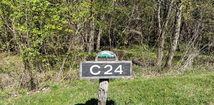 Lots C24 & C33 Buffalo Nvno, Zionville