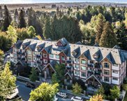 12525 190a Street Unit 310, Pitt Meadows image