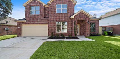 2119 Silver Leaf Drive, Missouri City