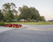 24238 Deep Springs Loop, Eustis image