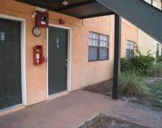 322 Oak Rose Lane Unit 101, Tampa image