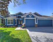 15735 Starling Water Drive, Lithia image