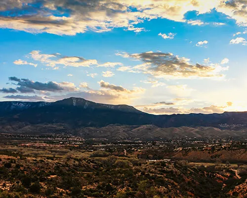 Cottonwood Real Estate