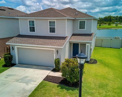 10280 Hawks Landing Drive, Land O' Lakes