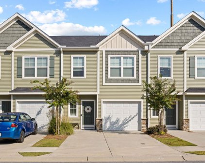 121 Bluet, Taylors