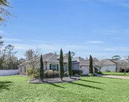 206 Butter Hill Drive, Deland image