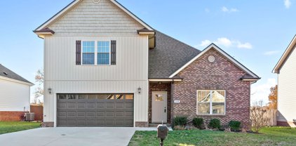 320 Chase Dr, Clarksville