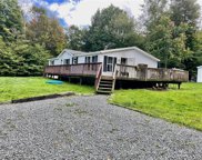 344 White Roe Lake Road, Livingston Manor image