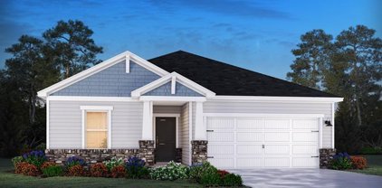 592 Cypress Preserve Circle, Longs