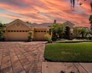 12439 Bristol Commons Circle, Tampa image