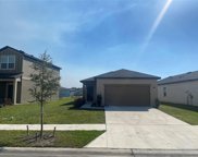 35464 White Water Lily Way, Zephyrhills image