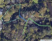 128 Mayhaw Drive, Columbia image