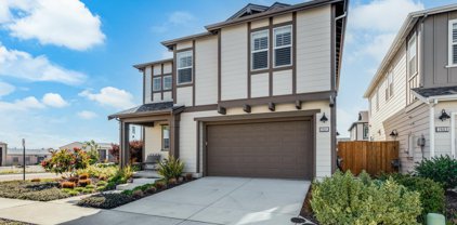 2601 Sandy Clay LN, Marina