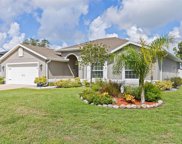 38 Frederick Lane, Palm Coast image