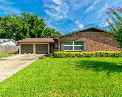 3515 Edland Drive, Orlando