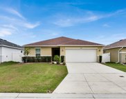 16373 Yelloweyed Drive, Clermont image