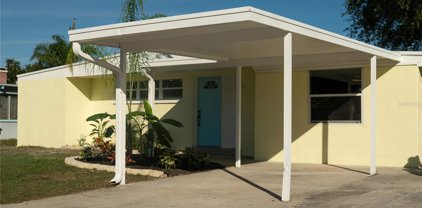 1318 Waikiki Way, Tampa