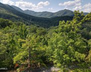 Lot 2 Caney Creek Rd, Pigeon Forge image