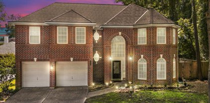 3411 Cedar Mill Court, Kingwood