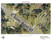 E State Road 60, Plant City image