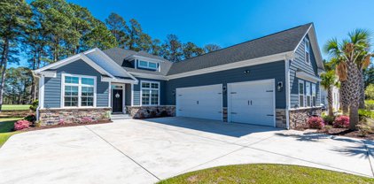 1636 Wood Stork Dr., Conway