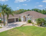 13411 Thoroughbred Drive, Dade City image