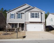 229 Chesser Reserve Drive, Chelsea image
