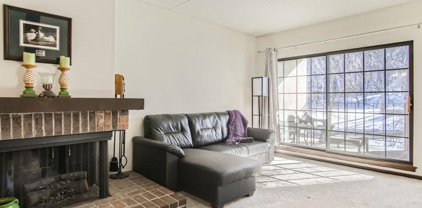 6650 Vernon Avenue S Unit #317, Edina