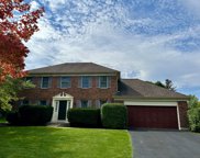 1337 Goldenrod Drive, Naperville image