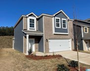 236 Chelsea Park Circle, Chelsea image
