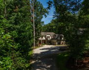 210 Connie Wright Road, Irmo image