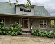 149 Gurley Drive, Oneonta image