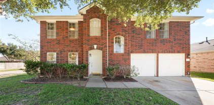 17103 Canterbury Green Court, Sugar Land